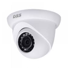Camera IP DS2300DIP